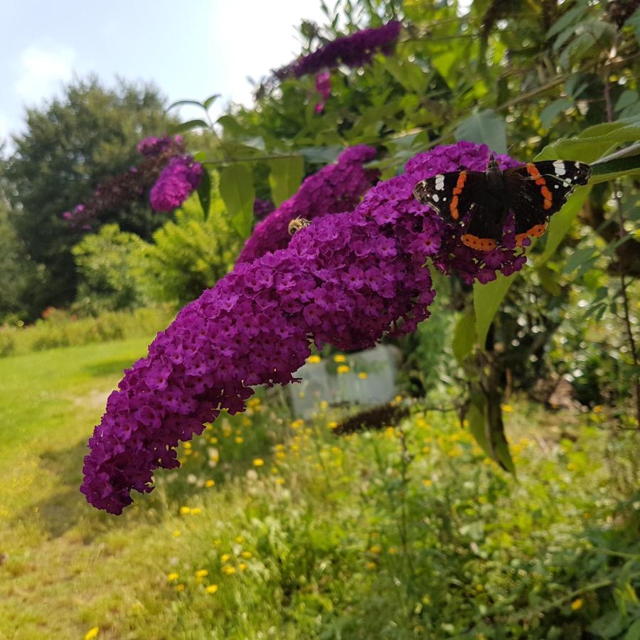 Domaine De La Chesnaie Bed & Breakfast Josselin Dış mekan fotoğraf