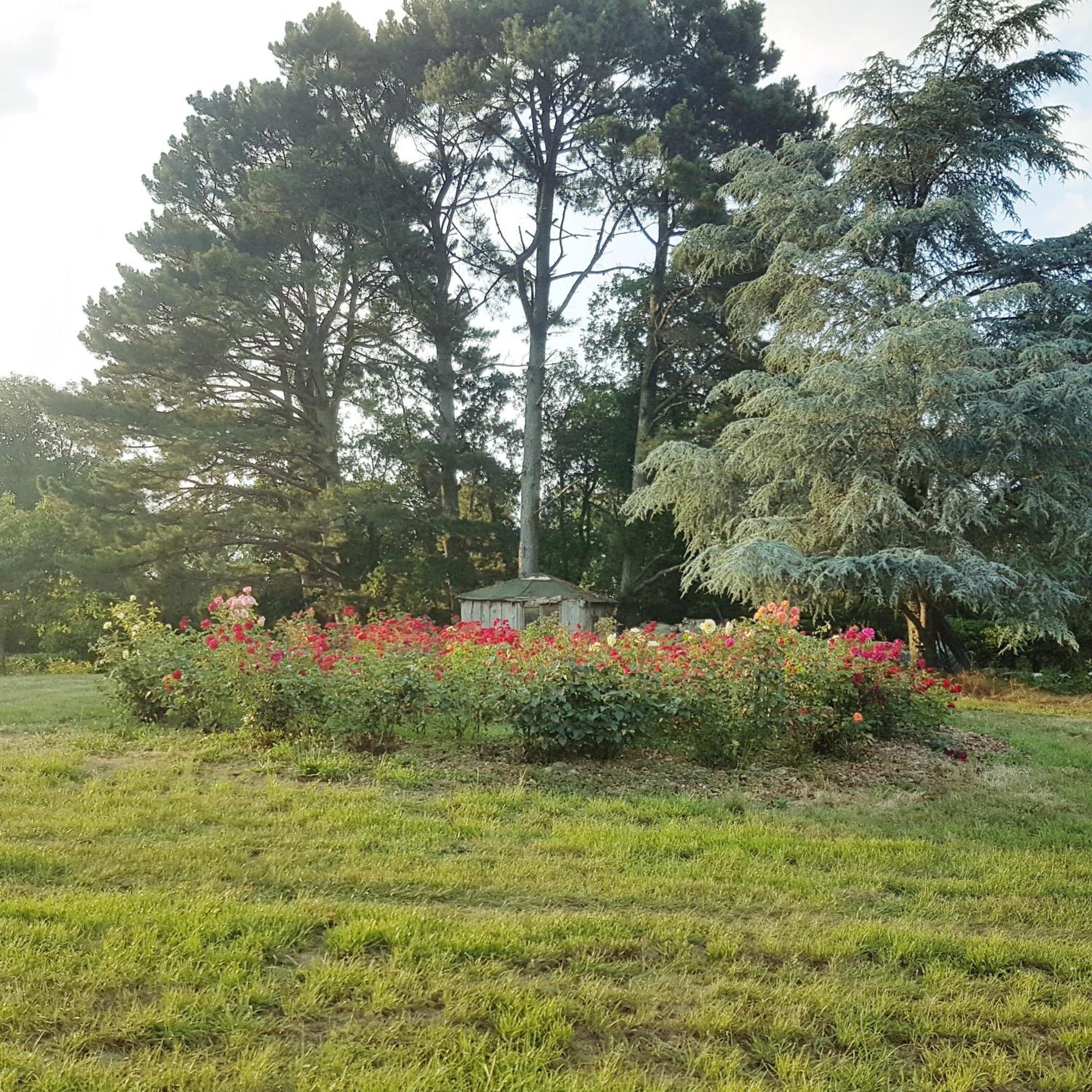 Domaine De La Chesnaie Bed & Breakfast Josselin Dış mekan fotoğraf